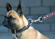 handmade pink carved leather dog collar with matching leash on french bulldog
