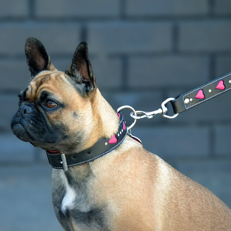 handmade pink carved leather dog collar with matching leash on french bulldog