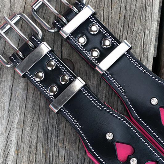 Double buckles for strong hold for big dogs.