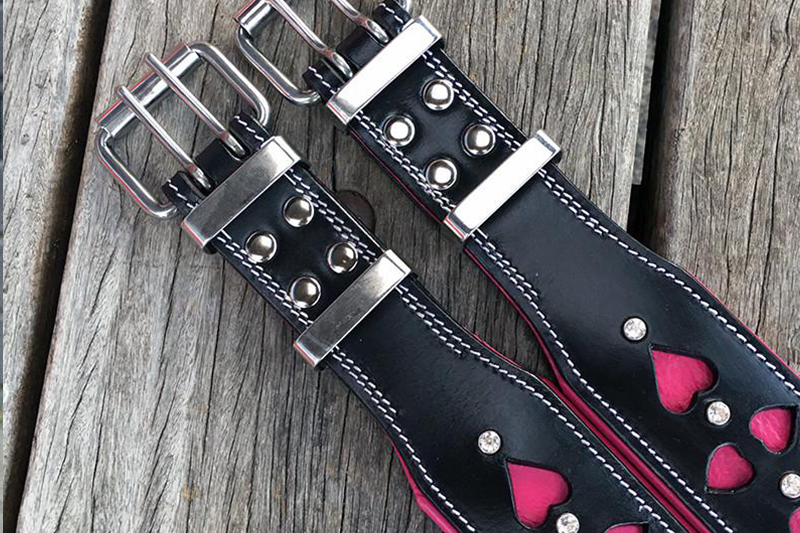 Double buckles for strong hold for big dogs.