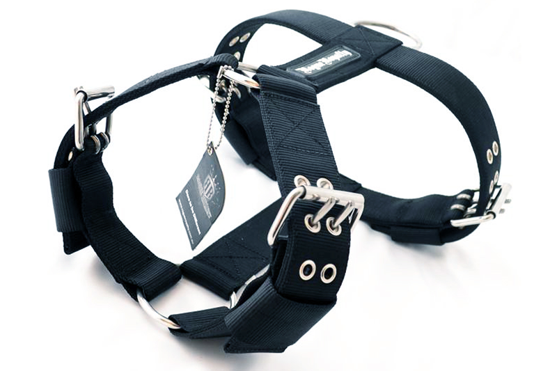 Rogue dog harness best sale