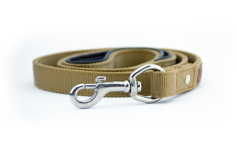 strong-dog-leashes