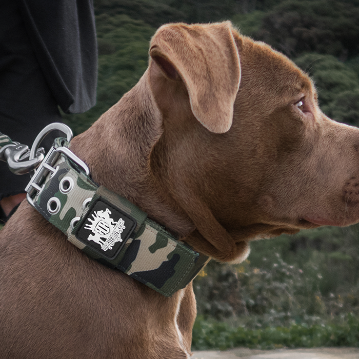 SUPATUFF Heavy Duty Camo Dog Collar