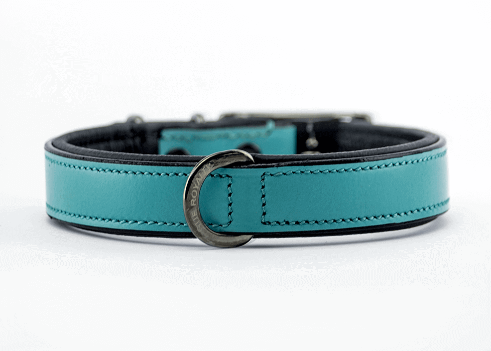 Teal Slim fit Leather dog collar