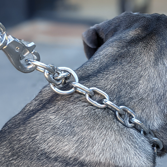 Chain Dog Collar Titan Ultra Heavy Chain Link