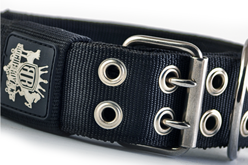 Heavy duty shop nylon dog collars